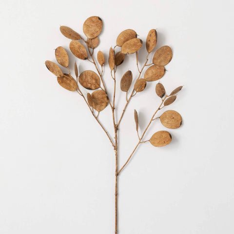 this gold-bronze leaf design spray is 10 inches tall the leaves are approx 1 inch in diameter.  