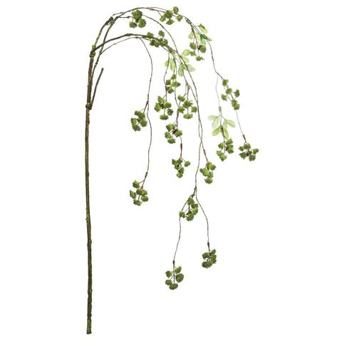 hanging Irish moss green like emeralds and the spray arches in a delicate dangling sway