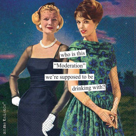 Anne Taintor paper napkins in a pack of 20.  "who is this 'moderation' we're supposed to be drinking with"